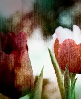 Tapety kvety Tapeta lúka tulipánov v retro štýle