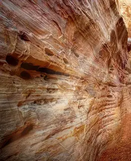 Tapety príroda Fototapeta cestička Grand Canyonom