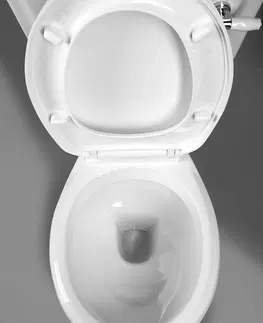 Kúpeľňa AQUALINE - ANTIK WC retro kombi + sedadlo, biela AK107-01