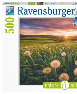 Hračky puzzle RAVENSBURGER - Púpavy pri západe slnka 500 dielikov