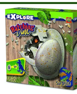 Drevené hračky SES Liahnutie dinosaura 