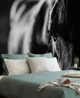Samolepiace tapety Samolepiaca fototapeta majestátny čiernobiely kôň