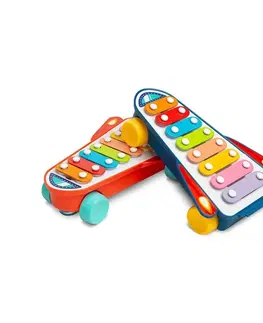 Náučné hračky TOYZ - Detská vzdelávacia hračka xylofón