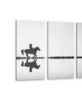 Čiernobiele obrazy 5-dielny obraz jazdec na koni v čiernobielom prevedení