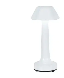 Lampy  LED Stmievateľná nabíjacia stolná lampa LED/1W/5V 3000-6000K biela 