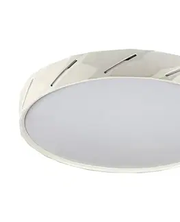 Svietidlá Rabalux Rabalux 71119 - LED Stropné svietidlo NESSIRA LED/25W/230V 3000K biela 