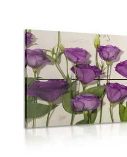 Obrazy kvetov Obraz nádherné fialové kvety