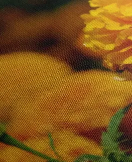 Obrazy kvetov Obraz aztécky nechtík