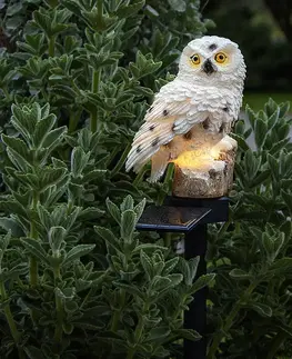 Solárne dekoračné osvetlenie STAR TRADING Solárne LED svietidlo Owl s hrotom do zeme