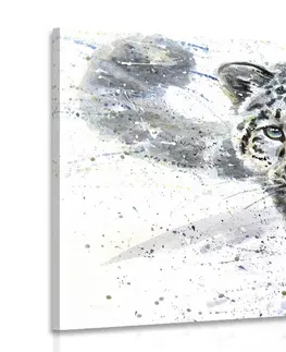 Obrazy zvierat Obraz kreslený leopard