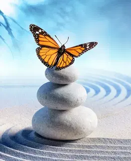 Tapety Feng Shui Tapeta rovnováha kameňov s motýľom