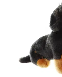 Plyšové hračky LAMPS - Pes jazvečík plyšový 30cm