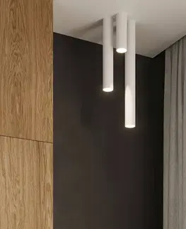 Bodové svetlá Euluna Euluna Thalassa stropné svietidlo 1 svetlo biele výška 20 cm