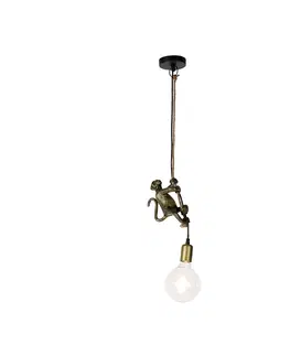 Zavesne lampy Vintage závesná lampa zlatá - Animal Monkey