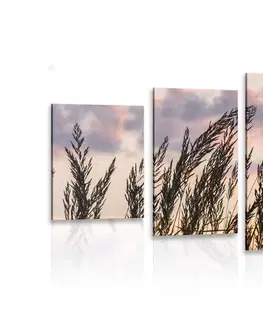 Obrazy prírody a krajiny 5-dielny obraz tráva pri zapadajúcom slnku