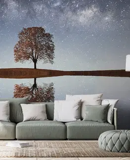 Samolepiace tapety Samolepiaca fototapeta hviezdna obloha nad osamelým stromom