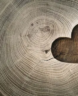 Samolepiace tapety Samolepiaca tapeta symbol lásky na dreve