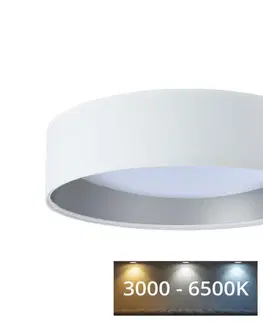 Svietidlá  LED Stmievateľné stropné svietidlo SMART GALAXY LED/24W/230V biela/strieborná + DO 