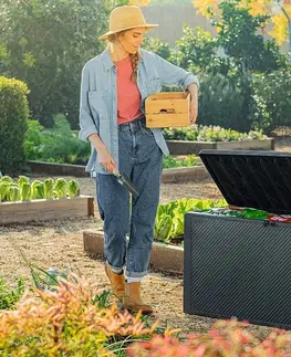 Záhradné úložné boxy Záhradný úložný box EMILY Keter