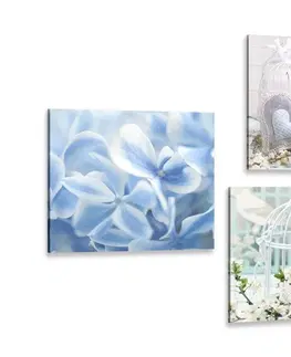 Zostavy obrazov Set obrazov lucerničky s modrou kvetinou
