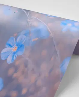 Samolepiace tapety Samolepiaca fototapeta modré kvety na vintage pozadí