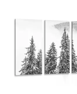 Čiernobiele obrazy 5-dielny obraz zasnežené borovicové stromy v čiernobielom prevedení