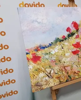 Obrazy kvetov Obraz maľované maky na lúke