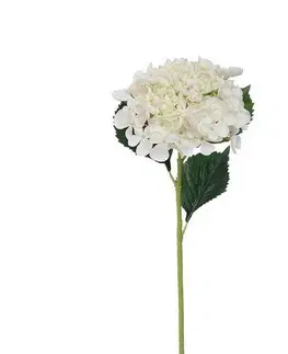 Kvety Umelá hortenzia, v. 52 cm, biela