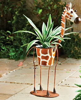 Drobné dekorácie a doplnky Kvetináč Žirafa