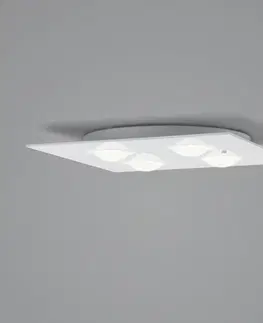 Stropné svietidlá Helestra Helestra Nomi stropné LED svetlo 38x38cm dim biela