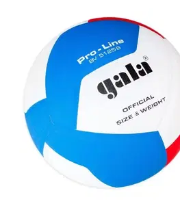 Volejbalové lopty Volejbalová lopta GALA Pro Line BV5125S
