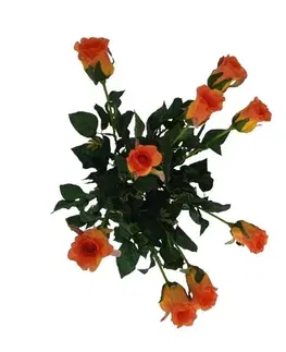 Kvety Umelá kvetina púčik Ruža oranžová, 64 cm, 9 ks​