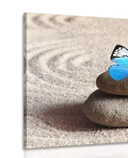 Obrazy Feng Shui Obraz modrý motýľ v Zen záhrade