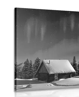 Čiernobiele obrazy Obraz rozprávková zimná krajina v čiernobielom prevedení