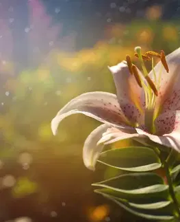 Samolepiace tapety Samolepiaca tapeta nádherný kvet s retro nádychom