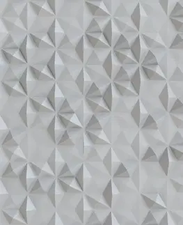 Dekoračné panely Sklenený panel 60/60 Piramid Grey Esg