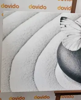 Čiernobiele obrazy Obraz Zen kameň s motýľom v čiernobielom prevedení