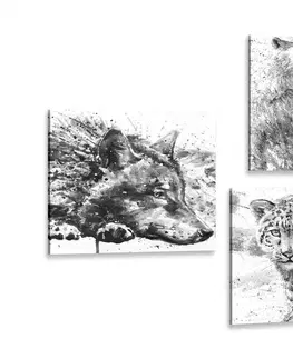 Zostavy obrazov Set obrazov zvieratá v  čiernobielom akvarelovom prevedení