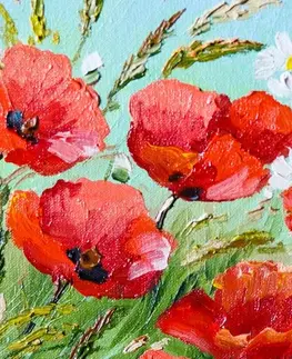 Obrazy kvetov Obraz červené maky v poli