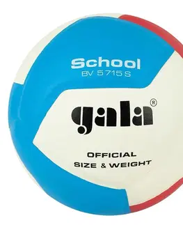 Volejbalové lopty Volejbalová lopta GALA School BV5715S