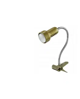 Lampy  Lampa s klipom LOLEK 1xE14/24W/230V zlatá 