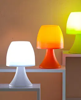 Drobné dekorácie a doplnky LED svetlo