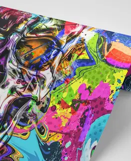 Abstraktné tapety Tapeta farebná umelecká lebka