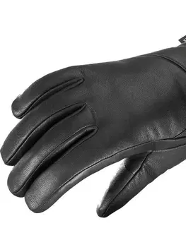 Zimné rukavice Salomon Native GTX Gloves W M