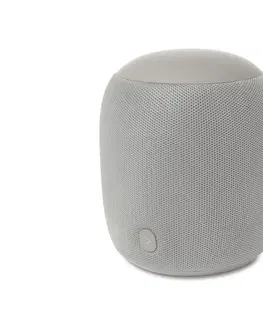 Speakers Dizajnový reproduktor s Bluetooth®, L, sivý