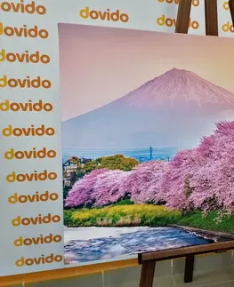 Obrazy prírody a krajiny Obraz japonská sopka Fuji