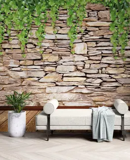 Tapety príroda Tapeta stena pokrytá listami
