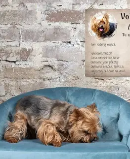 Tabuľky s venovaním (darčeky) Obraz na stenu - Meno pre psa na tabuľke s fotkou