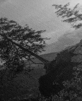 Čiernobiele obrazy Obraz čiernobiela horská krajina pri jazere