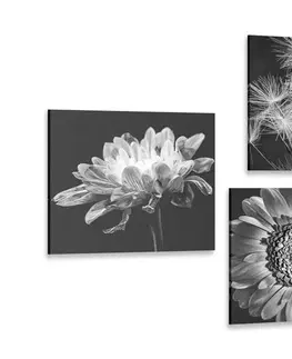 Zostavy obrazov Set obrazov čiernobiele nežné kvety